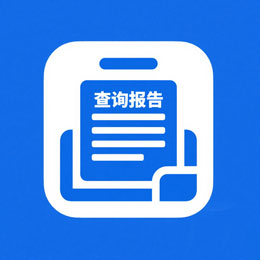 报告查询